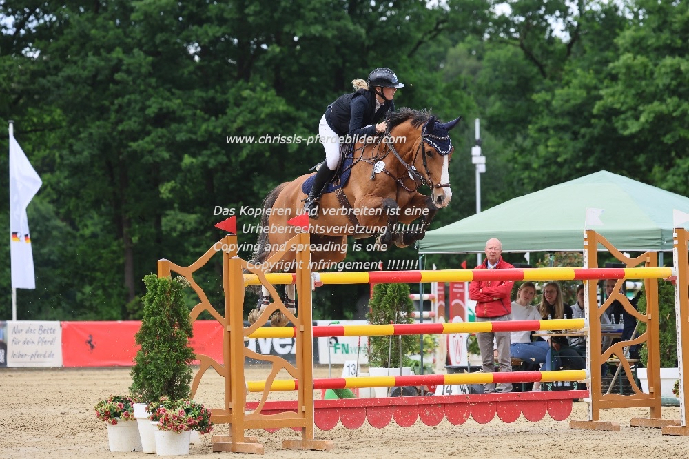 Preview leonie pander mit plot green IMG_1926.jpg